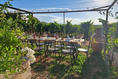 Dinner in the vineyard with wine tasting and walk