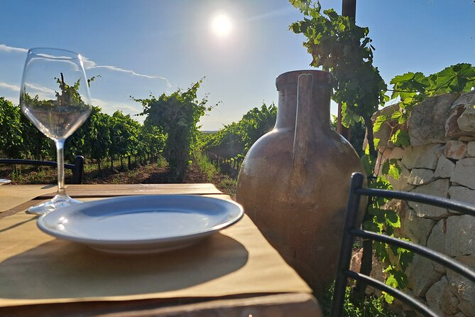 Dinner in the vineyard with wine tasting and walk - Handmade orecchiette, prepared the same day