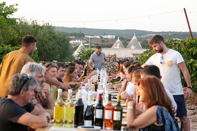 Dinner in the vineyard with wine tasting and walk - Bombette cooked the traditional way