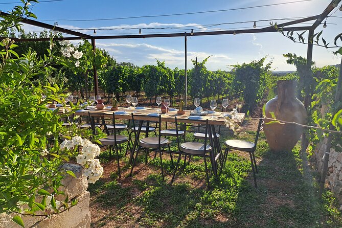 Dinner in the vineyard with wine tasting and walk - The vineyard walk and the story behind the wine