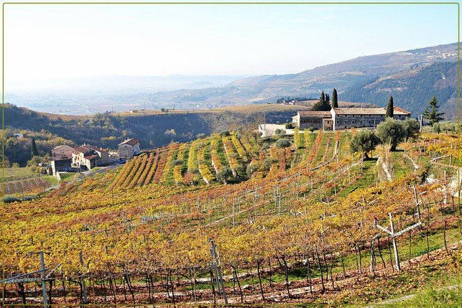 Discover Valpolicella Vineyards and Wine Tasting Experience - Tasting Valpolicella, Ripasso, and Amarone