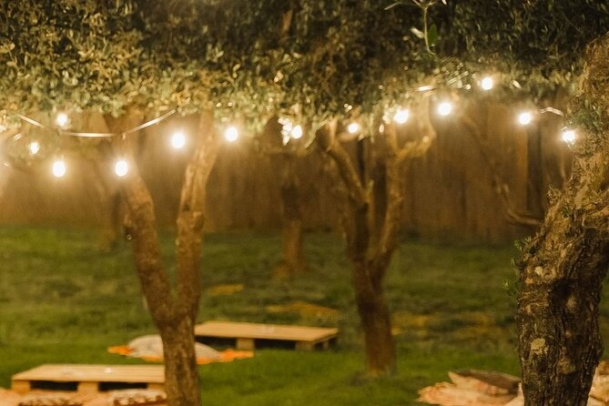 Discovering LeonardoDaVinci's Origins & Aperitif among Vineyards - Exploring the Museo Leonardiano in Vinci