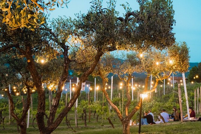 Discovering LeonardoDaVinci's Origins & Aperitif among Vineyards - What the guide adds to the afternoon