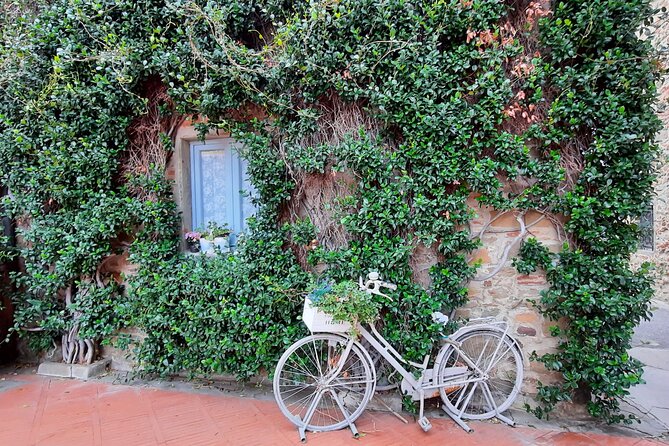 Discovering LeonardoDaVinci's Origins & Aperitif among Vineyards - Leonardo’s birthplace and the famous hologram