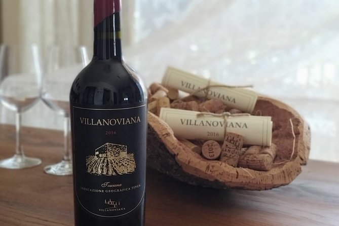 Discovering the Bolgheri vineyards and tasting local products - Key points to know before you go