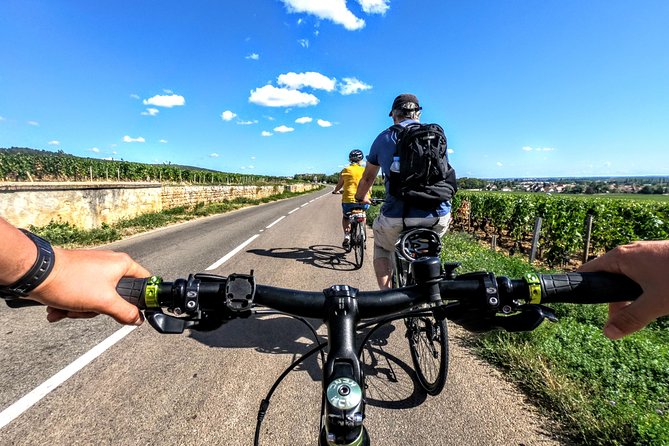 Discovery by bike & Tasting in the vineyards - Key points at a glance
