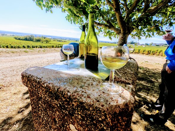 Discovery by bike & Tasting in the vineyards - Getting to Square Pierre Curie