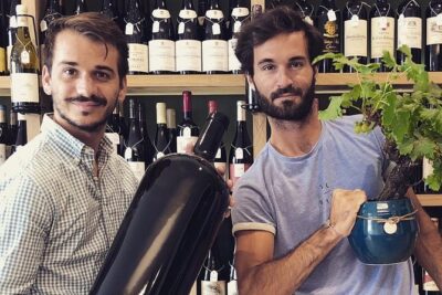 Discovery of the Bordeaux vineyard in 3 wines