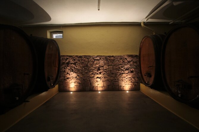 Discovery Vineyard - Inside the Cellar Among Barrels and Steel Tanks