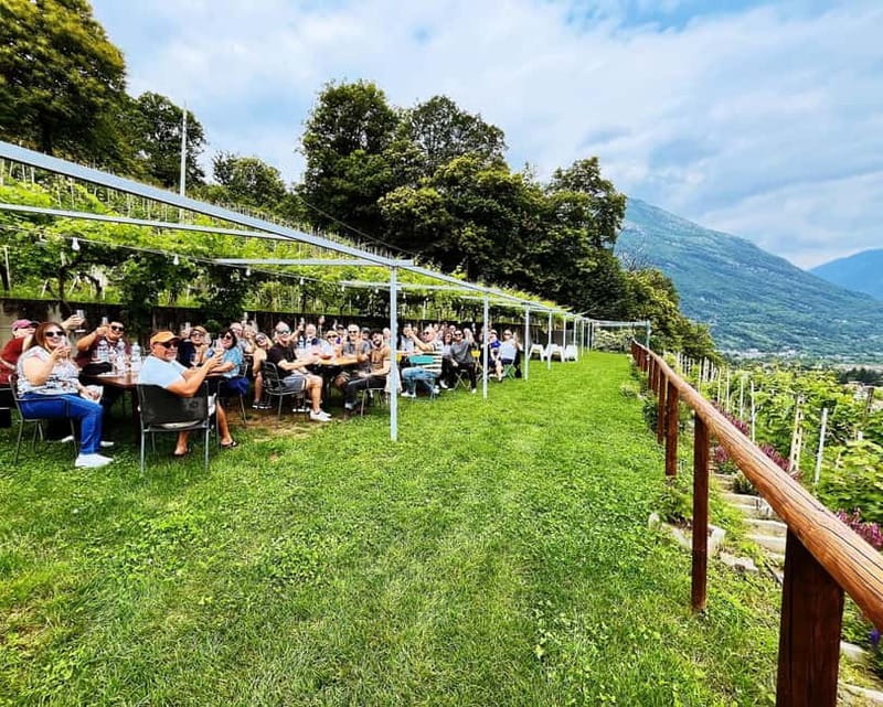 Domodossola: Savor Wines & Local Treats in a Scenic Vineyard - Local food that turns tasting into lunch