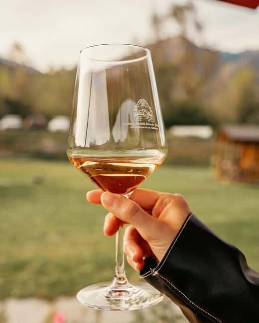 Domodossola: Savor Wines & Local Treats in a Scenic Vineyard - Taking your time in the vineyard and cellar