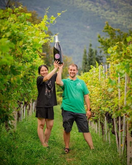 Domodossola: Savor Wines & Local Treats in a Scenic Vineyard - What the experience does not include