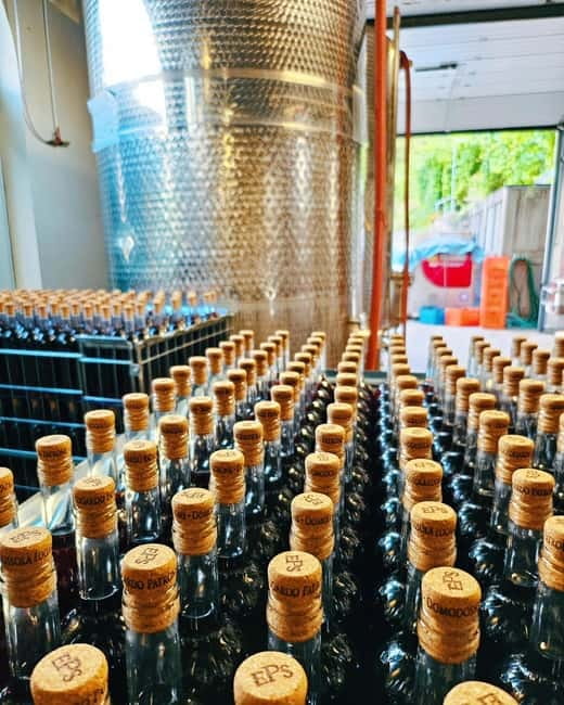 Domodossola: Savor Wines & Local Treats in a Scenic Vineyard - Who will enjoy this tasting most?