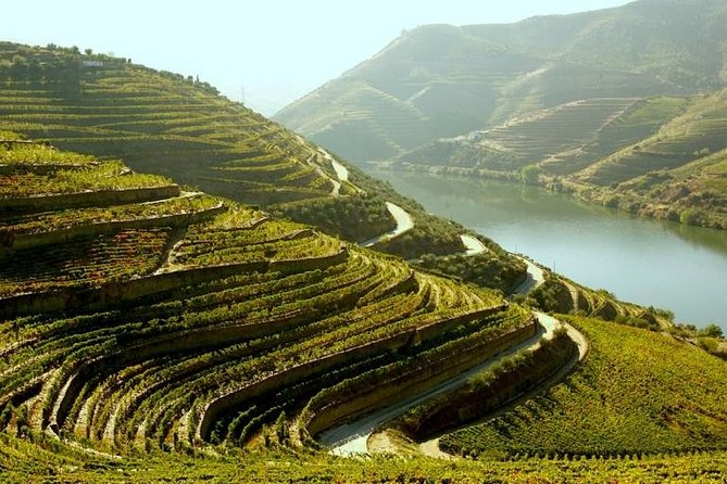 Douro Valley and Lisbon 5 Day PRIVATE Tour - Port Wine Region, Porto and Lisbon - Óbidos, Nazaré, and Aveiro in one long first day