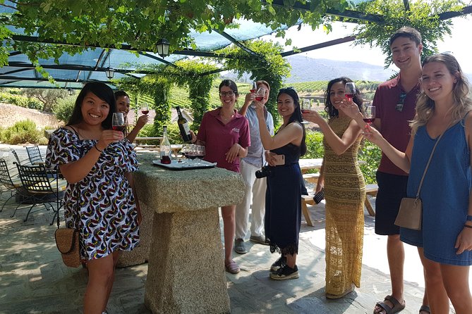 Douro Valley for Wine Lovers with Visit to 4 Wineries and Lunch - Key things to know before you book