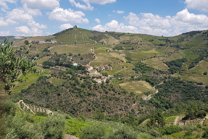 Douro Valley for Wine Lovers with Visit to 4 Wineries and Lunch - Why the Douro Valley makes a better day trip than another city tour