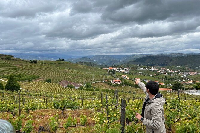 Douro Valley for Wine Lovers with Visit to 4 Wineries and Lunch - The second winery often brings the best combination
