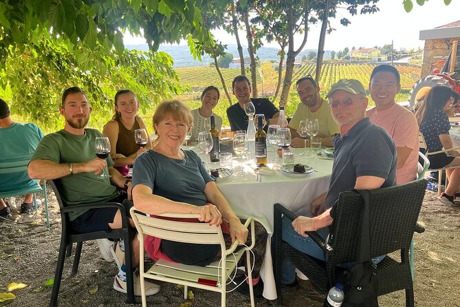 Douro Valley for Wine Lovers with Visit to 4 Wineries and Lunch - The views are not just a backdrop