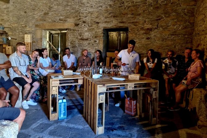 Douro Valley Guided Tour of 3 Vineyards with Lunch - Key points to know before booking
