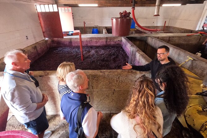 Douro Valley Guided Tour of 3 Vineyards with Lunch - Why the Douro Valley makes a strong day trip from Porto