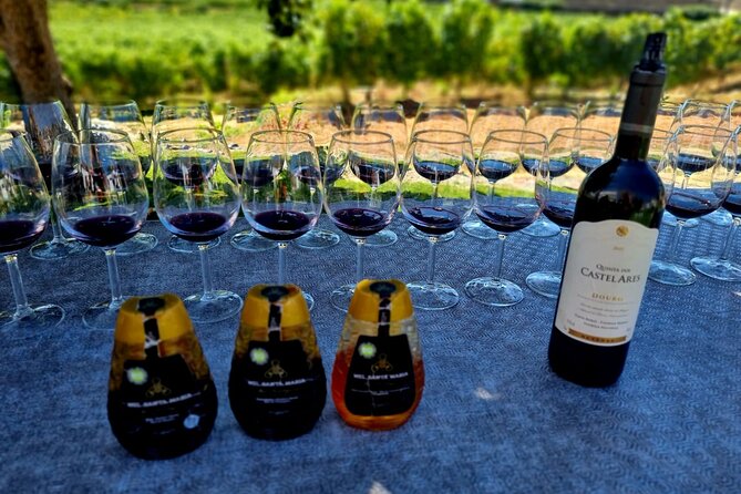 Douro Valley Guided Tour of 3 Vineyards with Lunch - What the $156.17 price really covers