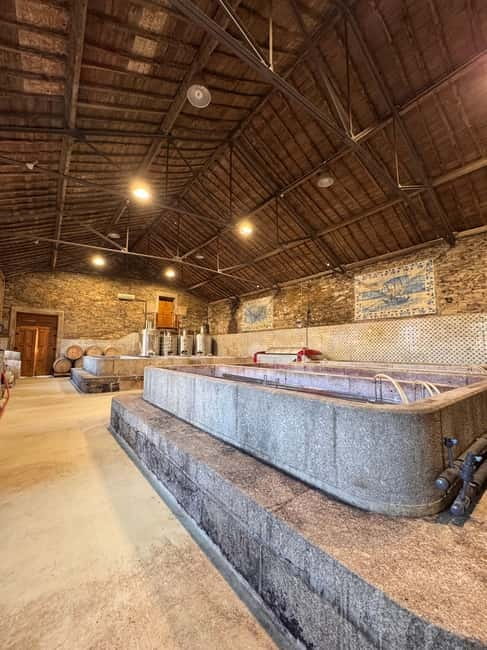 Douro Valley: Private 4wd Tour, Winery Visit, Boat & Lunch - Who should book this Douro experience