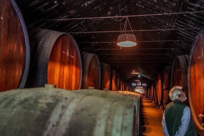 Douro Valley Private Day Trip from Lisbon: Vineyards & River View - The guide can make or break this long day