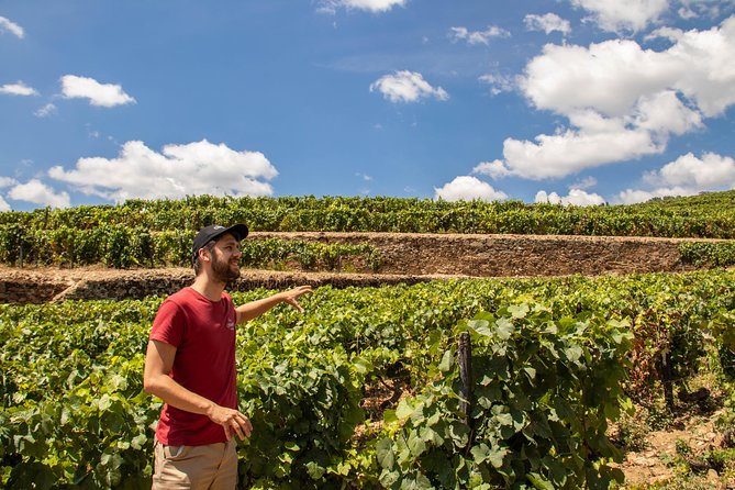 Douro Valley: private tour with lunch and wine estate all inclusive - The morning drive to Amarante