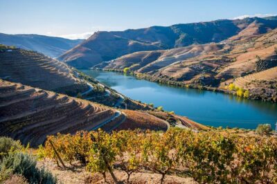 Douro Valley: private tour with lunch and wine estate all inclusive
