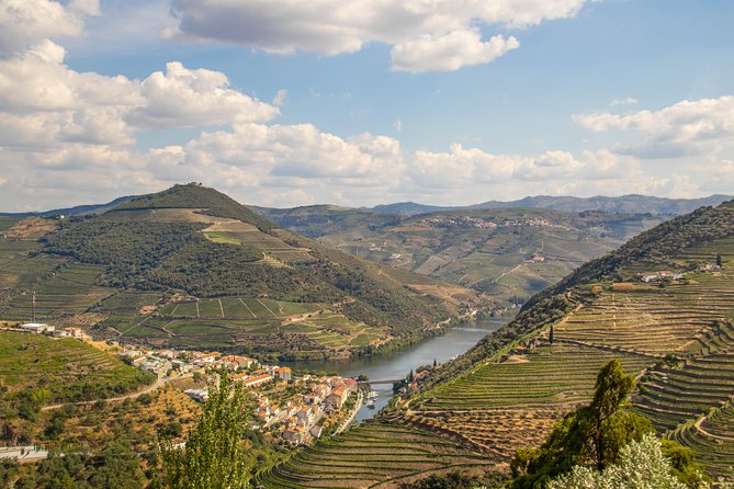 Douro Valley: private tour with lunch and wine estate all inclusive - Walking through a Douro vineyard estate