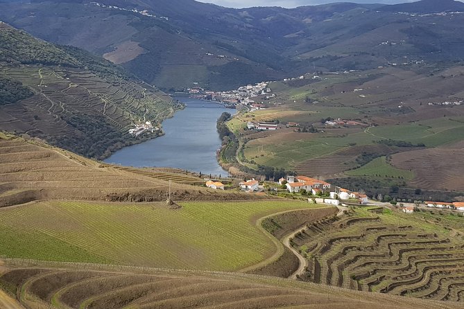 Douro Valley Tour: 2 Vineyard Visits, River Cruise, Winery Lunch - The Douro Valley experience in six useful points