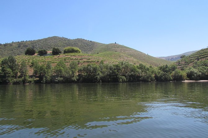 Douro Valley Tour: 2 Vineyard Visits, River Cruise, Winery Lunch - Lamego and the first family winery