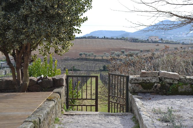 Douro Valley Tour: 2 Vineyard Visits, River Cruise, Winery Lunch - The drive to Sabrosa and the winery lunch
