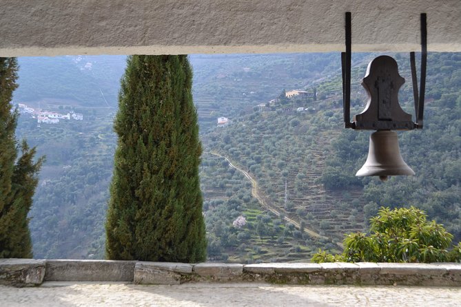 Douro Valley Tour: 2 Vineyard Visits, River Cruise, Winery Lunch - Is $101.58 good value?