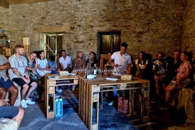 Douro Valley Vineyard Visits Wine Tasting Boat Ride and Lunch - The road to Pinhão sets the tone