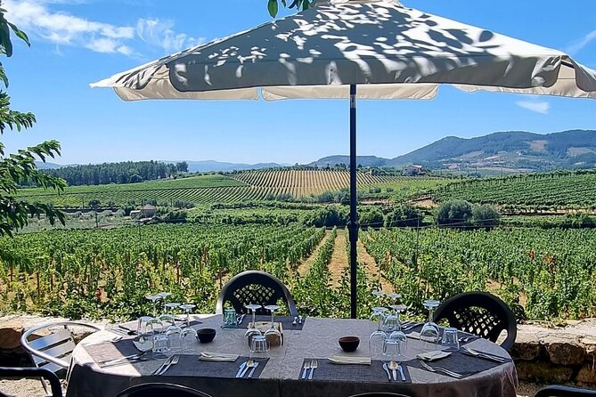 Douro Valley Vineyard Visits Wine Tasting Boat Ride and Lunch - Wine and olive oil near Peso da Régua
