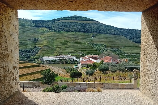 Douro Valley Vineyard Visits Wine Tasting Boat Ride and Lunch - Who will enjoy this day most