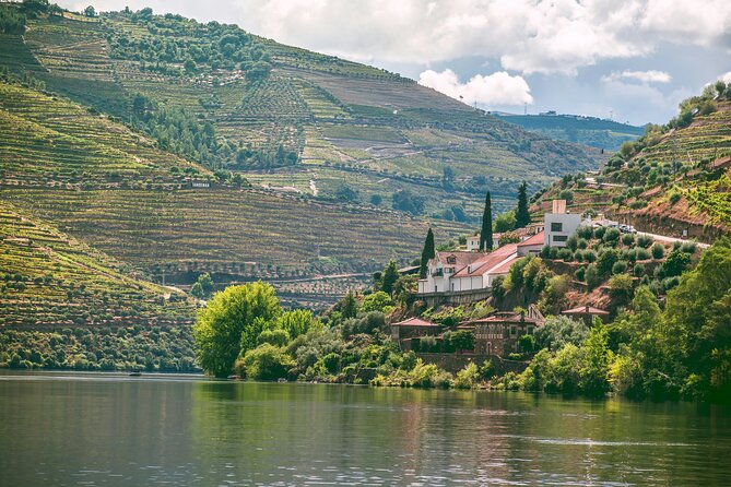 Douro Valley Vineyard Visits Wine Tasting Boat Ride and Lunch - A quiet hour on the Douro River