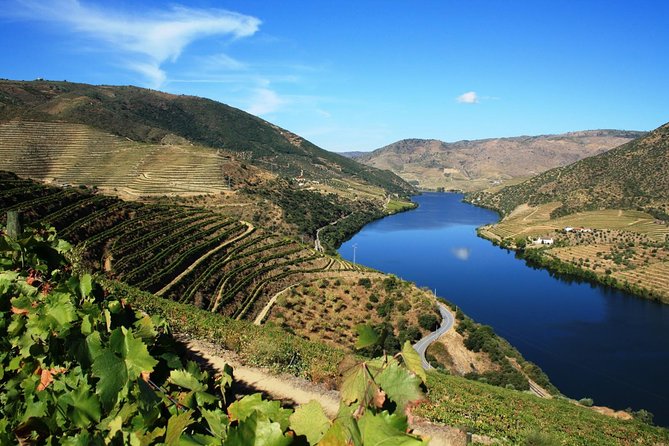 Douro Valley Wine Tour: 3 Vineyard Visits, Wine Tastings, Lunch - The N222 drive through Portugal’s wine country