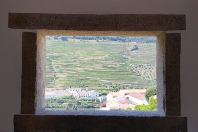 Douro Valley Wine Tour: 3 Vineyard Visits, Wine Tastings, Lunch