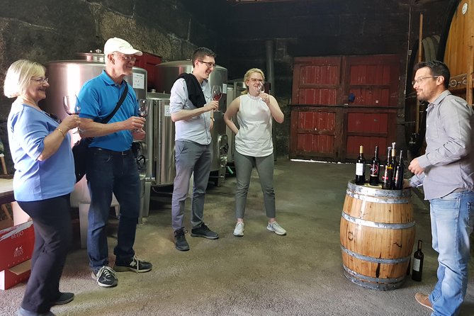 Douro Valley Wine Tour: 3 Vineyard Visits, Wine Tastings, Lunch - Folgosa and a more historic estate