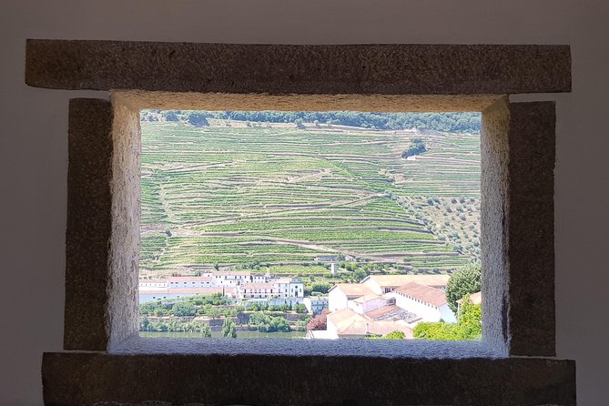 Douro Valley Wine Tour: 3 Vineyard Visits, Wine Tastings, Lunch - Lamego and the first family winery