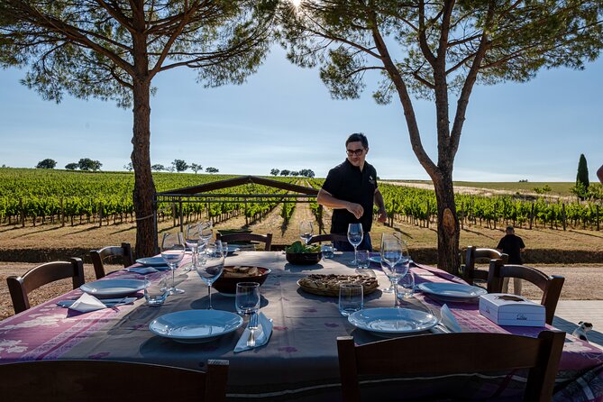 DRINK&FOOD: Private Vineyard and Winery Tour with Tasting - What makes this Bocale visit worth your time