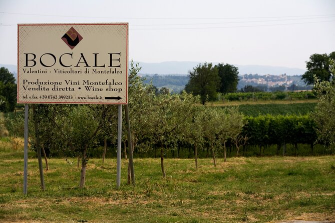 DRINK&FOOD: Private Vineyard and Winery Tour with Tasting - Four wines, four different jobs at the table
