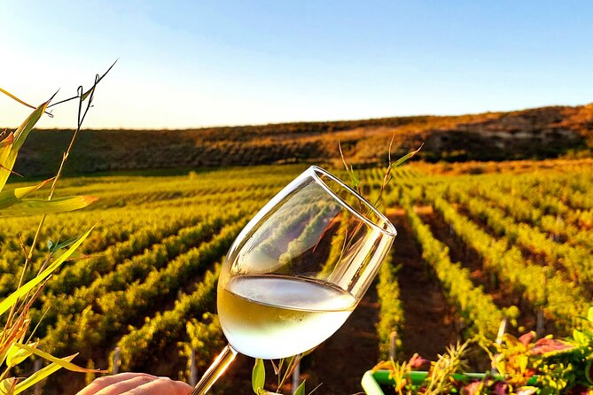 Durrës Countryside Vineyard Experience with Wine & Food Pairing - The 5:00 pm pickup and ride into the countryside