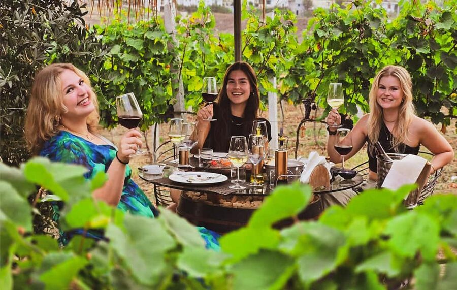 Durres Countryside Vineyards Wine Tasting & Food Pairing - Walking through the vineyard and learning about Albanian grapes