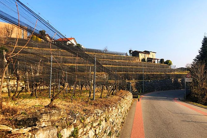 E-Bike Tour Lake Como and Swiss Vineyards - Il Giardino della Valle and the middle of the route