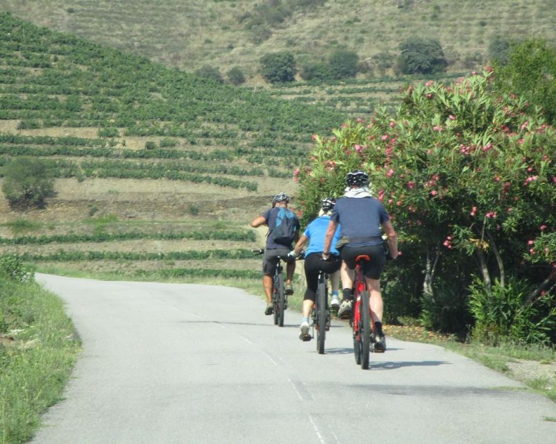 E-MTB - Vineyards Douro Tour - Starting at Naturimont beside the Douro