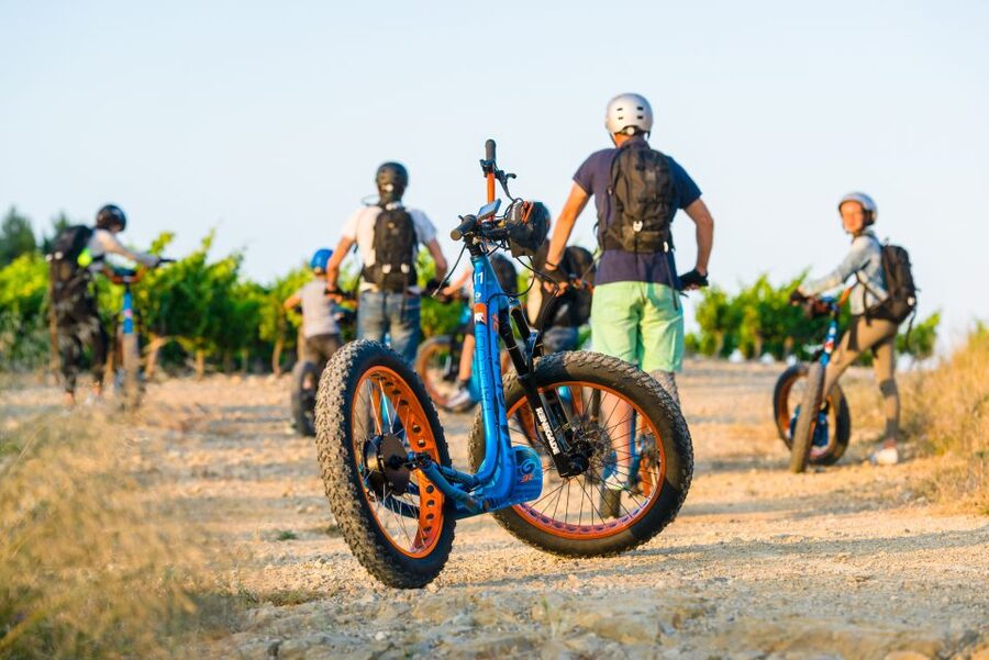 Electric Scooter Tour of our vineyard and Wine Tasting - The 30-minute cellar tasting