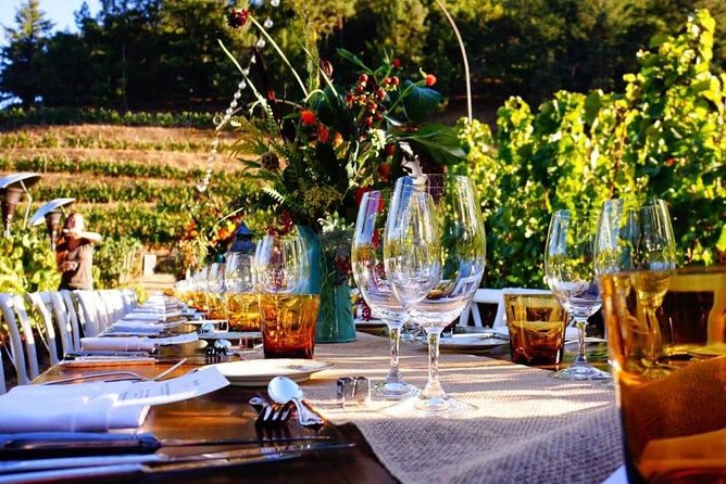 Enjoy a meal with wine tasting in the vineyard of Podere Casanova - Key points before you book